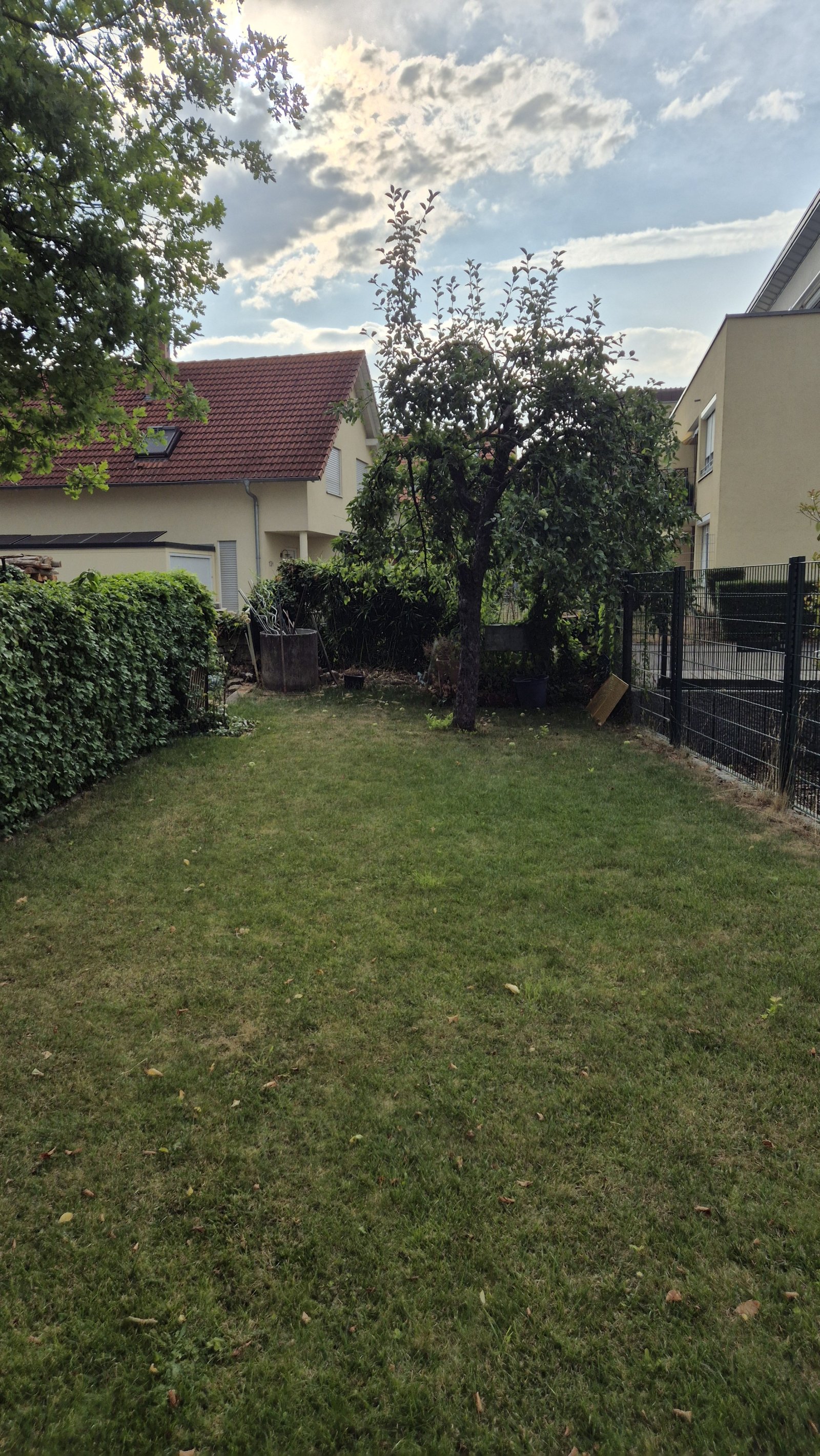 Garten Garten